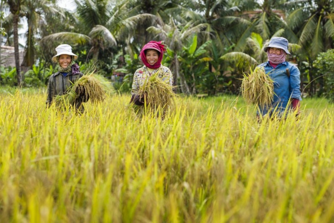 Cambodia's Macroeconomic Outlook Appears Positive For 2024-2027