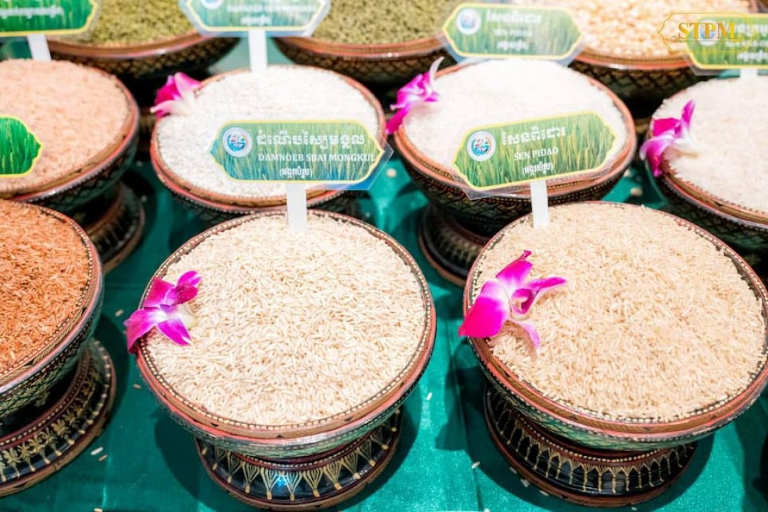 7th Cambodia Rice Forum 2024 - What Was Announced?