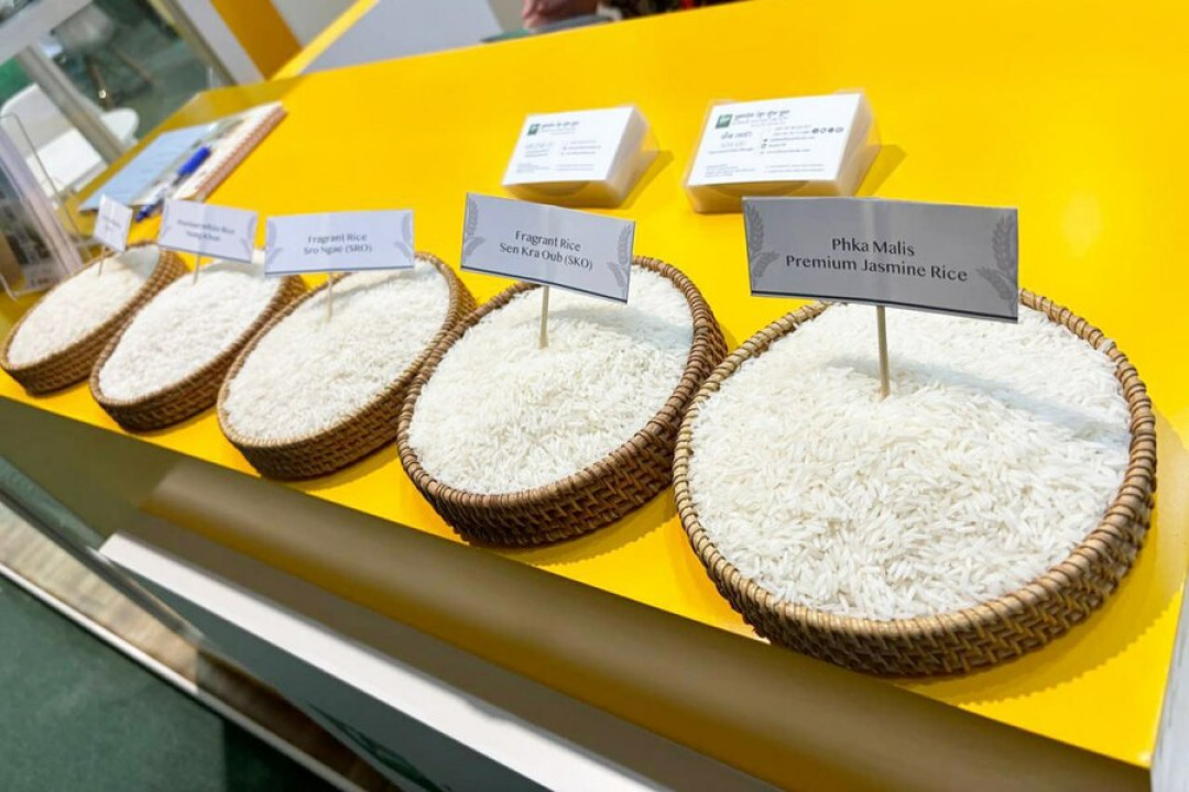 Cambodia’s Rice Exports Surpass USD 900 Million in First Four Months of 2025