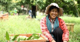 Cambodia Microfinance Association Partners With NBC and UN To Safeguard Vulnerable Populations