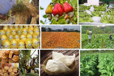 20 Potential Products Receive National Recognition