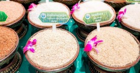 7th Cambodia Rice Forum 2024 - What Was Announced?