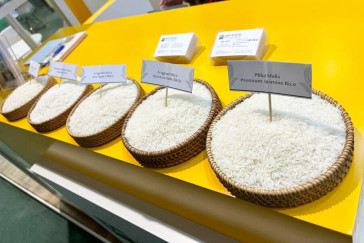 Cambodia’s Rice Exports Surpass USD 900 Million in First Four Months of 2025