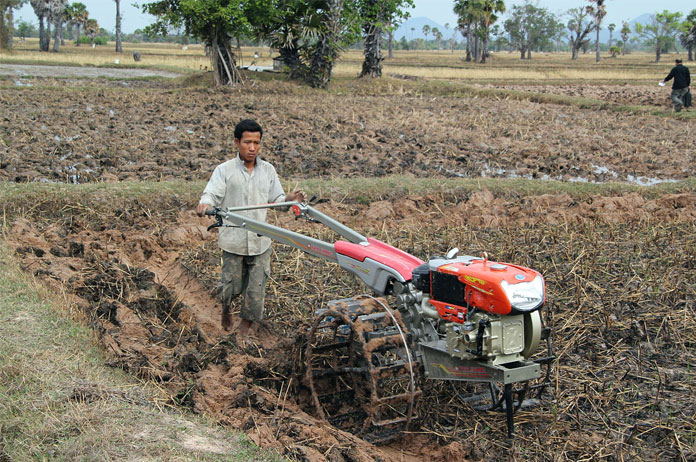 contract-farming-cambodia-model-featured-image