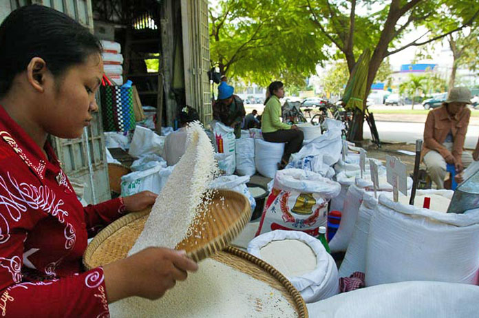 cambodian rice sector government stabilise protect