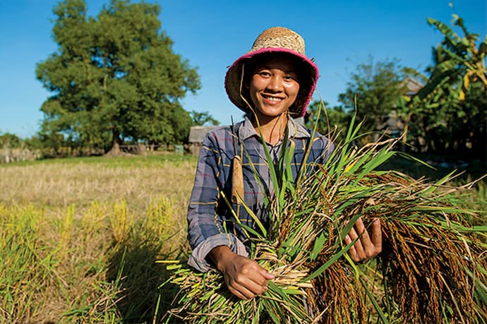 cambodian-agricultural-exports-pass-three-million-tonnes-in-2020-b2b